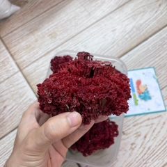 San hô đỏ màu tự nhiên là thức ăn và trang trí cho chuồng nuôi