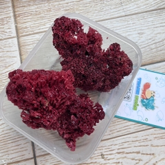 San hô đỏ màu tự nhiên là thức ăn và trang trí cho chuồng nuôi