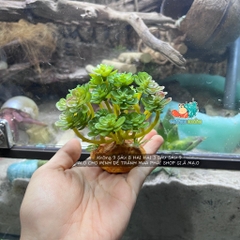 Cây giả trang trí QM48