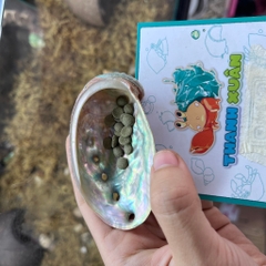 Bát ăn vỏ bào ngư xà cừ lấp lánh cỡ nhỏ 6-7cm