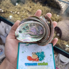 Bát ăn vỏ bào ngư xà cừ lấp lánh cỡ nhỏ 6-7cm