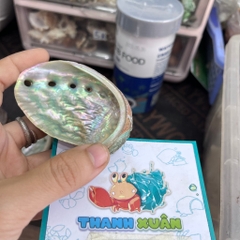 Bát ăn vỏ bào ngư xà cừ lấp lánh cỡ nhỏ 6-7cm