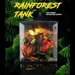 Chuồng kính 30x30x45cm cửa mở dành cho bò sát hoặc cây cảnh