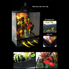 Chuồng kính 30x30x45cm cửa mở dành cho bò sát hoặc cây cảnh