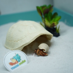 Hang trú ẩn hình mai rùa nhựa đúc màu vàng nhạt cho ốc mượn hồn