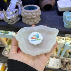 Đĩa thức ăn bát đựng nước màu trắng