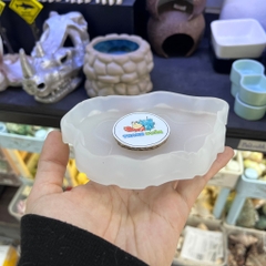 Đĩa thức ăn bát đựng nước màu trắng