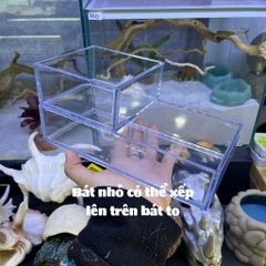 Bát mica đựng nước đựng thức ăn cho ốc mượn hồn và một số bò sát nhỏ kích thước 10x10cm và 20x10cm