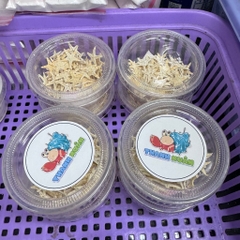 Sao biển khô thức ăn bổ sung canxi cho ốc mượn hồn