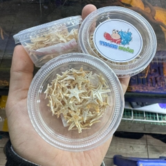 Sao biển khô thức ăn bổ sung canxi cho ốc mượn hồn