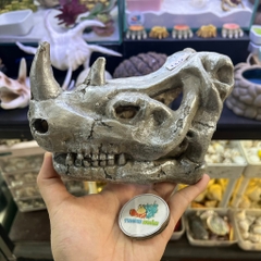 Mô hình sọ tê giác một sừng màu xám bạc làm hang trú và trang trí cho chuồng nuôi ốc mượn hồn, bò sát nhỏ