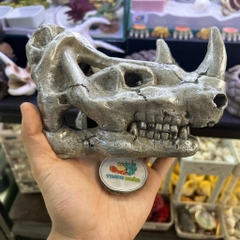 Mô hình sọ tê giác một sừng màu xám bạc làm hang trú và trang trí cho chuồng nuôi ốc mượn hồn, bò sát nhỏ