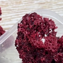 San hô đỏ màu tự nhiên là thức ăn và trang trí cho chuồng nuôi