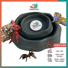 COMBO 2 Bát ăn chén nước màu xám tro có thể kết hợp 2 cái làm bát ăn chống kiến