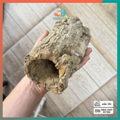 Lũa ống gỗ sồi mã L138