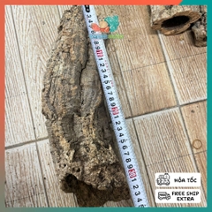 Lũa ống gỗ sồi mã L436