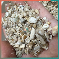 1kg cát san hô trải nền cho hồ ốc mượn hồn và hồ cá