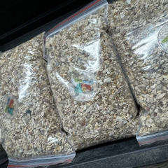 1kg cát san hô trải nền cho hồ ốc mượn hồn và hồ cá