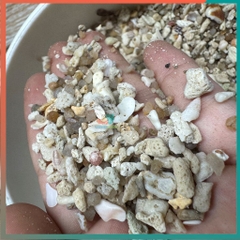 1kg cát san hô trải nền cho hồ ốc mượn hồn và hồ cá