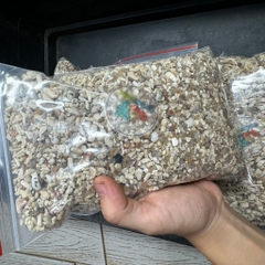 1kg cát san hô trải nền cho hồ ốc mượn hồn và hồ cá