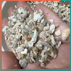 1kg cát san hô trải nền cho hồ ốc mượn hồn và hồ cá