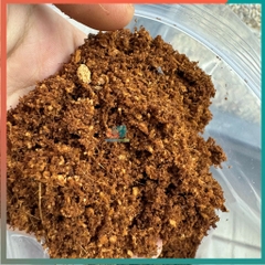 1kg Mụn xơ dừa đã qua xử lí dùng giữ ẩm cho ốc và cây