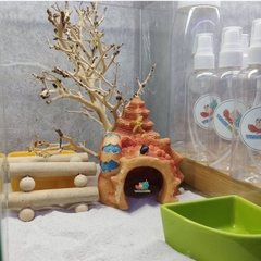 LŨA XƯƠNG CHÙM nhánh ngẫu nhiên trang trí bể nuôi Ốc Mượn Hồn và trang trí bể thủy sinh