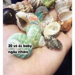 20 vỏ ốc baby màu và loại giao ngẫu nhiên