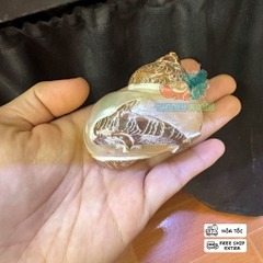 Vỏ ốc xà cừ hình cây dừa và cá heo