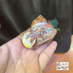 Vỏ ốc xà cừ hình cây dừa và cá heo