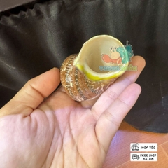 Vỏ ốc xà cừ hình cây dừa và cá heo