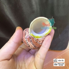 Vỏ ốc xà cừ hình cây dừa và cá heo