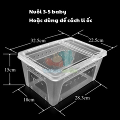 Hộp nhựa H5 nuôi 5 ốc mượn hồn size baby hoặc dùng cách li ốc