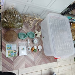 COMBO nuôi ốc mượn hồn 45x38x20cm - HN399