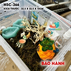 combo nuôi ốc mượn hồn size baby mã -HR5-330