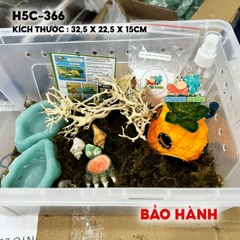 combo nuôi ốc mượn hồn size baby mã -HR5-330