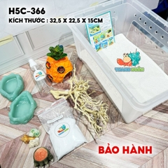 Combo nuôi ốc mượn hồn baby mã HC5-366