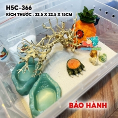 Combo nuôi ốc mượn hồn baby mã HC5-366