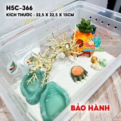 Combo nuôi ốc mượn hồn baby mã HC5-366