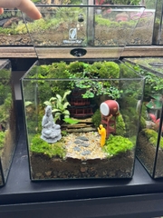 Workshop terrarium