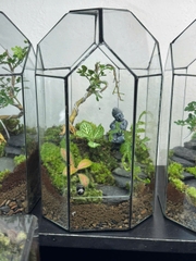 Workshop terrarium