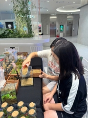 Workshop terrarium
