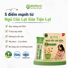 Ngũ cốc lợi sữa tiện lợi Anpaso