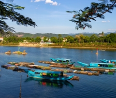 Bật mí những câu chuyện về cá trắm sông Son