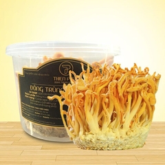 Lọ tươi Đông Trùng Hạ Thảo