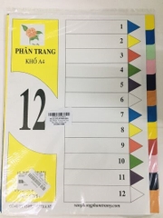 PHÂN TRANG GIẤY KHÔNG CHỮ (TẬP)