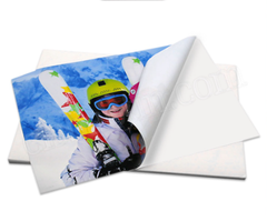 DECAL PIPI A3 (TỜ)