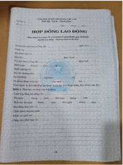 HỢP ĐỒNG LAO ĐỘNG (TỜ)