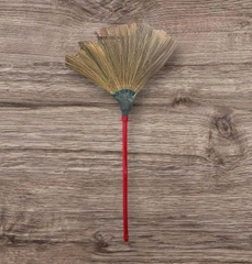 CHỔI ĐÓT (CÂY)