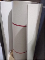 GIẤY A0 ĐL100 (TỜ)